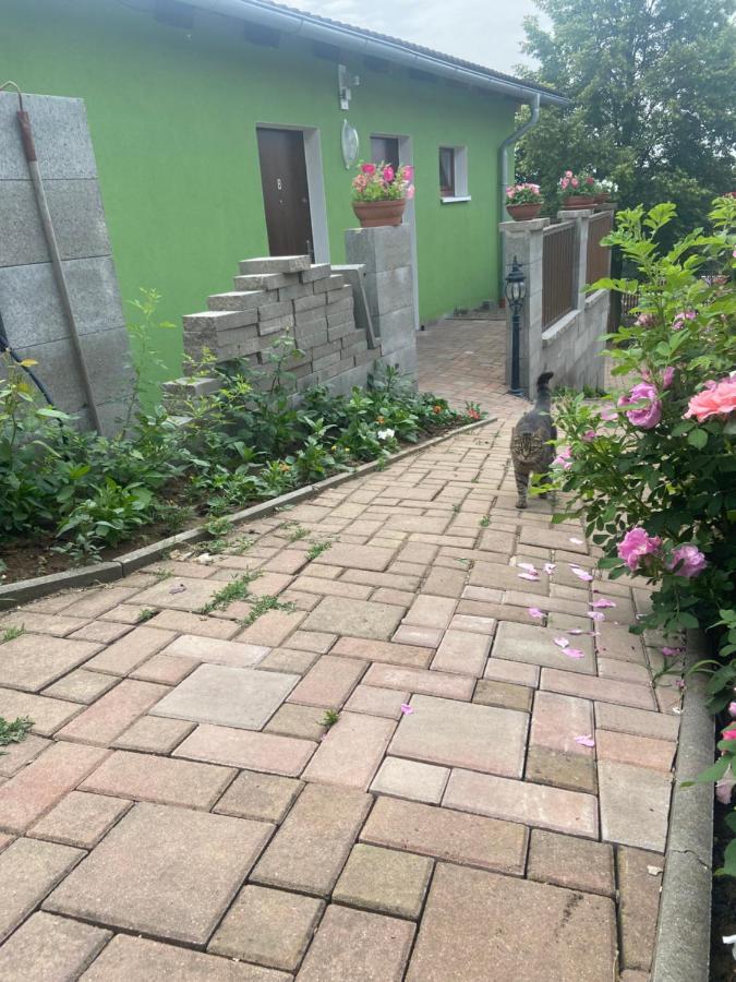 Penzion U Pavla Most Bagian luar foto